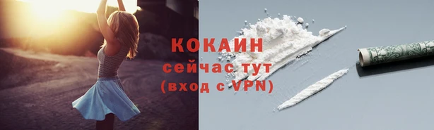 ПСИЛОЦИБИНОВЫЕ ГРИБЫ Лабытнанги