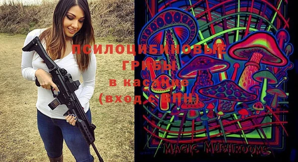 не бодяженный Ладушкин