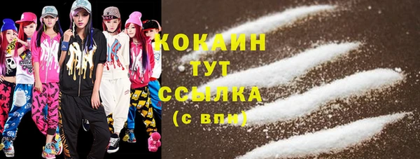 не бодяженный Ладушкин