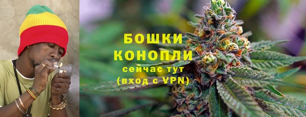 не бодяженный Ладушкин